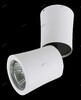 Миниатюра фото спот lightstar rotonda 214456 | 220svet.ru