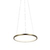 Миниатюра фото подвесной светильник loft it ring 10014s | 220svet.ru