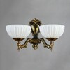 Миниатюра фото бра ambiente navarra 02228/2 pb | 220svet.ru