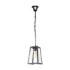 Миниатюра фото подвесной светильник loft it modern filament loft1127 | 220svet.ru