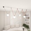 Миниатюра фото трековая ременная система denkirs belty set dk55set20-01-br | 220svet.ru