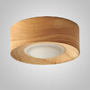 Миниатюра фото потолочный светильник imperium loft woodspot light встраиваемый 243482-22 | 220svet.ru