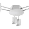 Миниатюра фото потолочная люстра lumion gareta 8235/6c белый | 220svet.ru