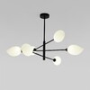 Миниатюра фото подвесная люстра eurosvet 30189/6 черный | 220svet.ru