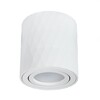 Миниатюра фото потолочный светильник arte lamp fang a5559pl-1wh | 220svet.ru