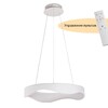 Миниатюра фото подвесной светодиодный светильник myfar pendant diona mr9180-pl | 220svet.ru