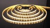 Миниатюра фото светодиодная влагозащищенная лента elektrostandard 14,4w/m 60led/m 5050smd теплый белый 5m a027841 | 220svet.ru