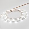 Миниатюра фото светодиодная лента ltc герметичная белая 220в, smd2835, 24led/м, 6000к, ip65, бухта 100м ltc nl-h1-2w | 220svet.ru