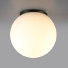 Миниатюра фото уличный потолочный светильник odeon light viva 7124/1c черный | 220svet.ru