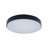 Миниатюра фото потолочный светильник loft it axel 10002/24 black | 220svet.ru
