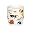 Миниатюра фото кружка "насекомые" мария мелер koenitz | 220svet.ru