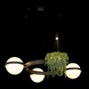 Миниатюра фото подвесной светильник loft it jardin 10121/3 dark grey | 220svet.ru