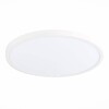 Миниатюра фото настенно-потолочный светодиодный светильник st luce st601.542.32 | 220svet.ru