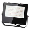 Миниатюра фото прожектор светодиодный эра 50w 1200k fito-50w-rb-led б0046368 | 220svet.ru