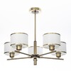 Миниатюра фото потолочная люстра на штанге citilux alton cl421253 | 220svet.ru