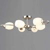 Миниатюра фото потолочная люстра reluce 08037-0.3-06 sn | 220svet.ru