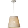 Миниатюра фото подвесной светильник velante 569-716-01 | 220svet.ru